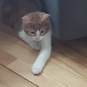 Meet your Posher, Danielle